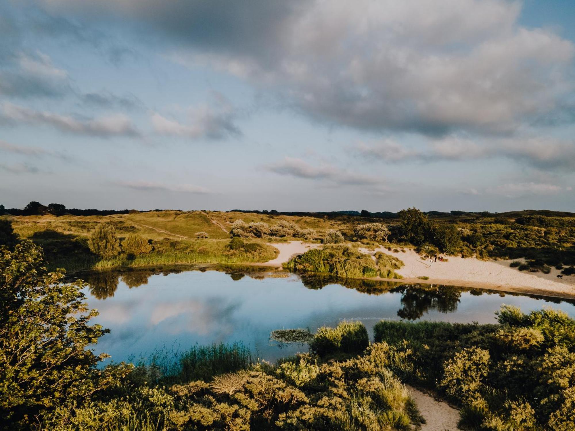 'T Schelpje With Free Parking Lägenhet Zandvoort Exteriör bild